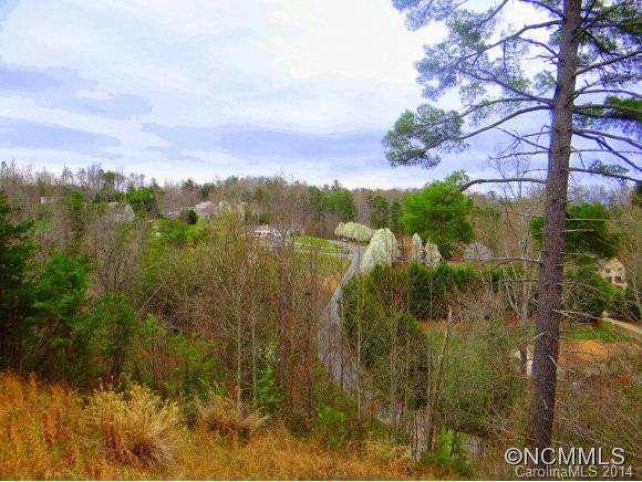 402 Day Lily Drive - Photo 2