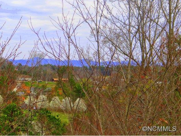 402 Day Lily Drive - Photo 19