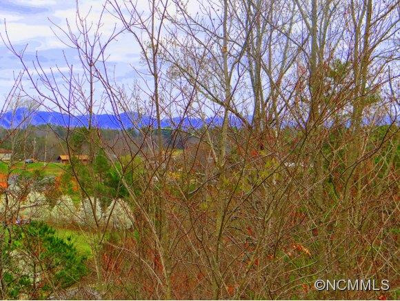 402 Day Lily Drive - Photo 23