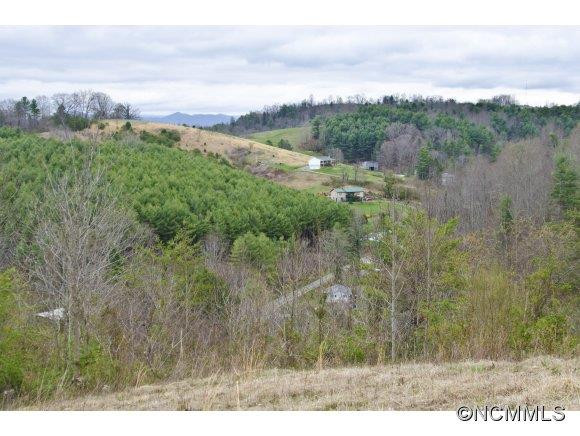 58 PONDER FARM ROAD - Photo 3