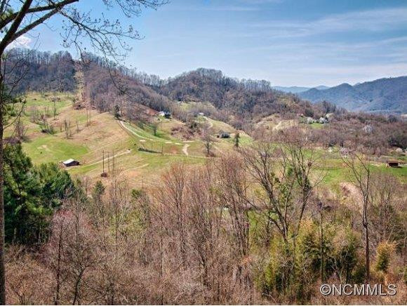 244 FALLING SPRING ROAD - Photo 3