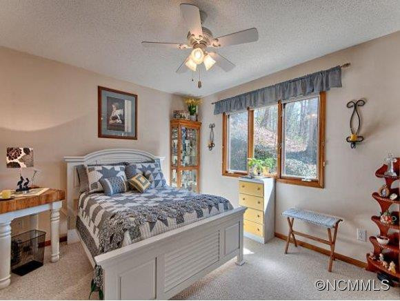 244 FALLING SPRING ROAD - Photo 9