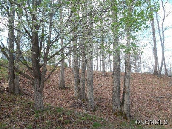 254 Puffy Cove - Photo 18