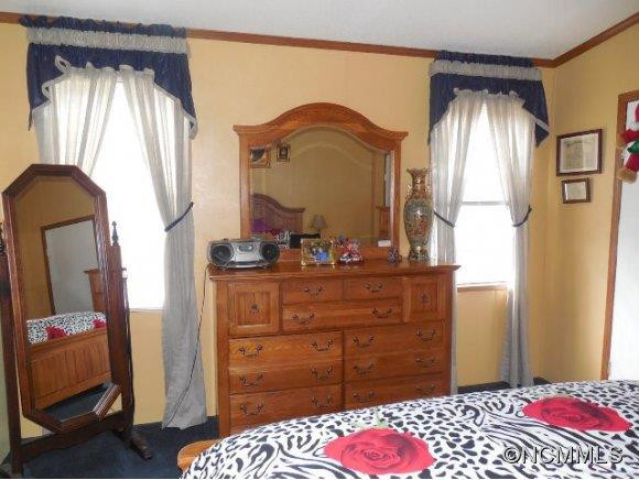254 Puffy Cove - Photo 6