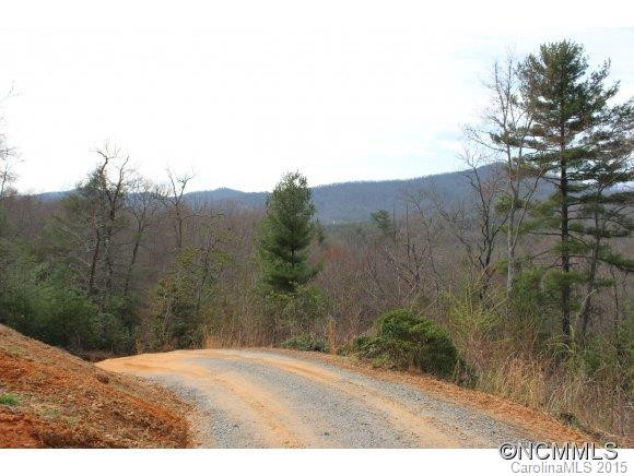 821 Turkey Pen Gap Road - Photo 2