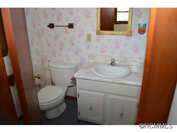 392 Balsam Shadows Road - Photo 19