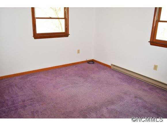 392 Balsam Shadows Road - Photo 21