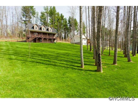 217 Old Mars Hill Hwy - Photo 2