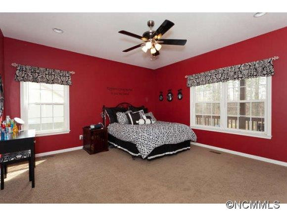 217 Old Mars Hill Hwy - Photo 6