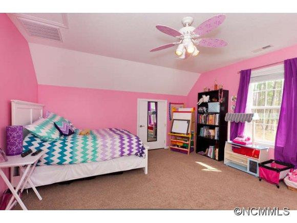 217 Old Mars Hill Hwy - Photo 8