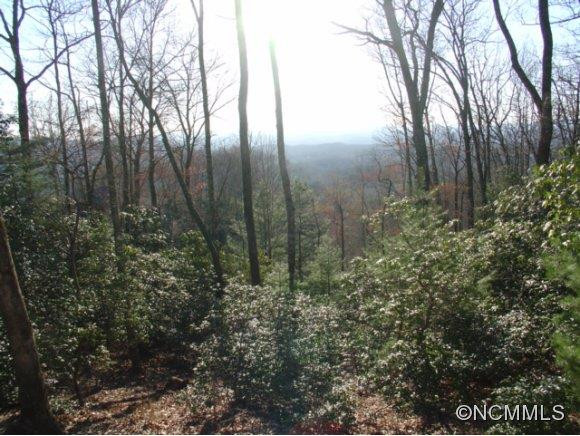 488 Tsuganawvi Ct. - Photo 24
