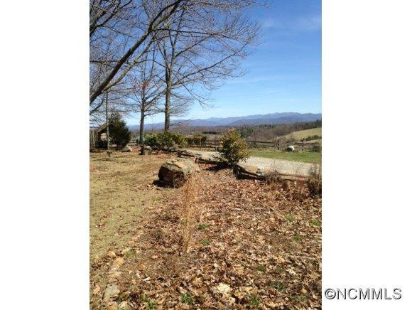 529 Moores Valley Lane - Photo 11