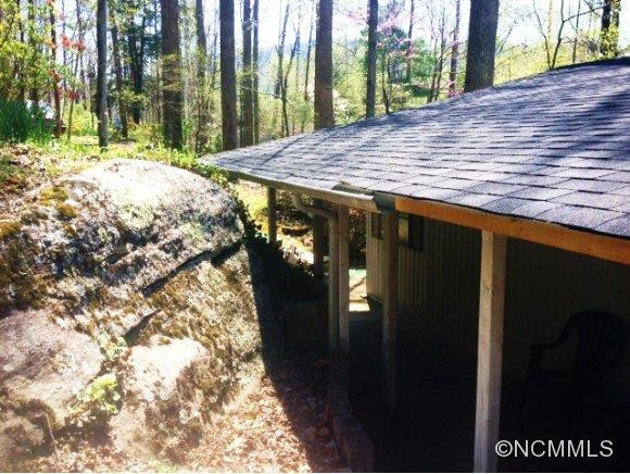 199 Upper Bat Cave - Photo 4