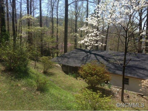 199 Upper Bat Cave - Photo 5