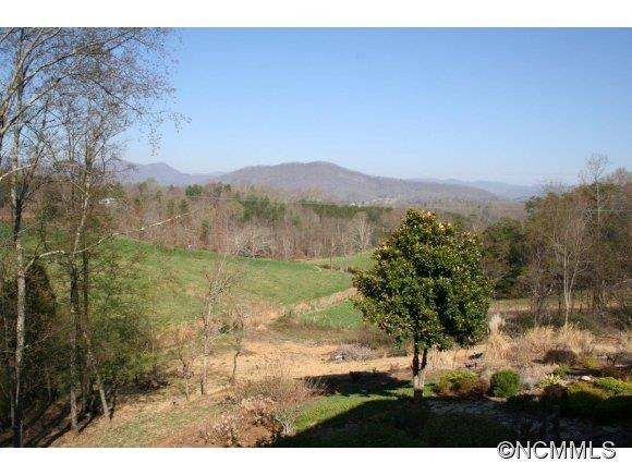 547 Moore's Valley Lane - Photo 4