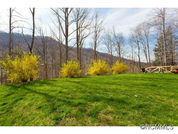 272 Paint Fork Rd - Photo 3