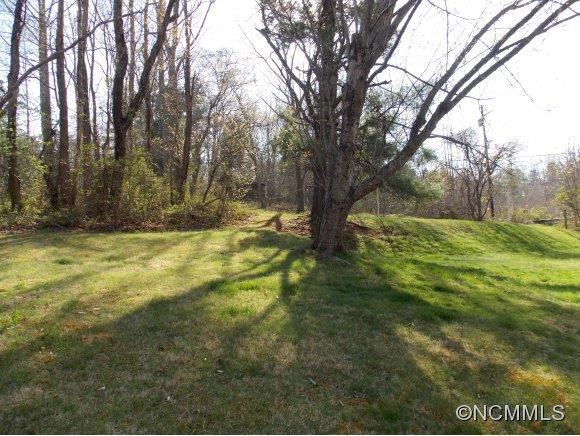 810 Old Marshall Hwy - Photo 15