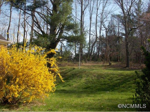 810 Old Marshall Hwy - Photo 16