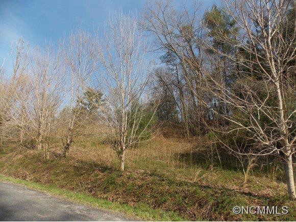 810 Old Marshall Hwy - Photo 17