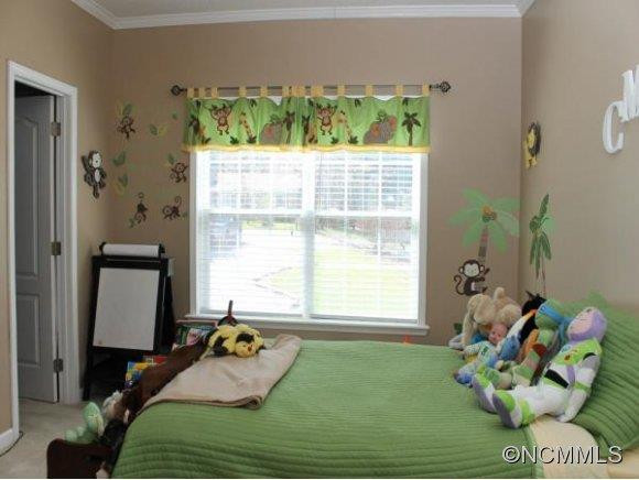 474 DOVE HAVEN LANE - Photo 9