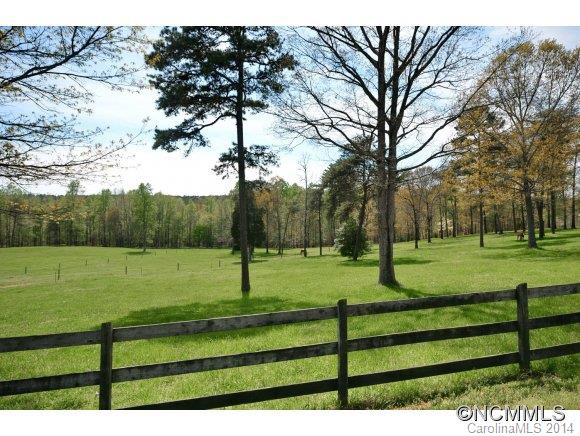 624 Stirrup Downs Lane - Photo 18