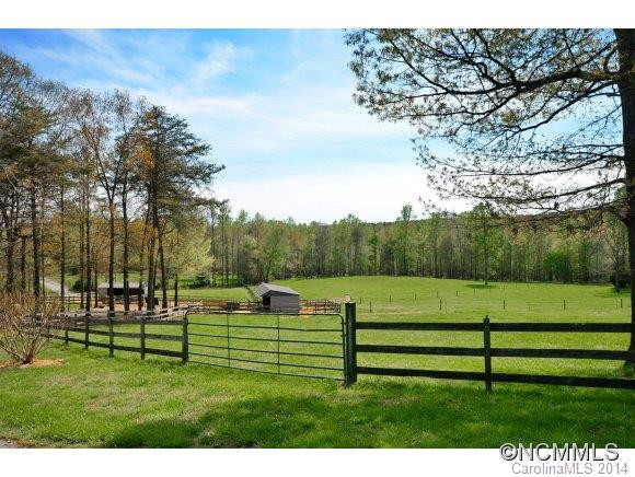 624 Stirrup Downs Lane - Photo 19