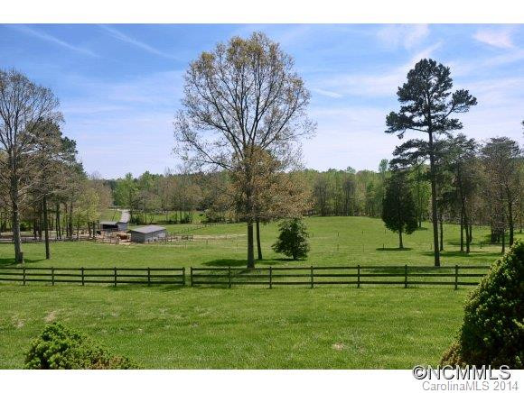 624 Stirrup Downs Lane - Photo 3