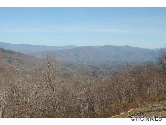 1170 Conley Mountain Assoc. Rd. - Photo 3