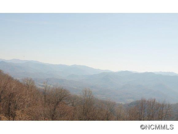 1170 Conley Mountain Assoc. Rd. - Photo 4