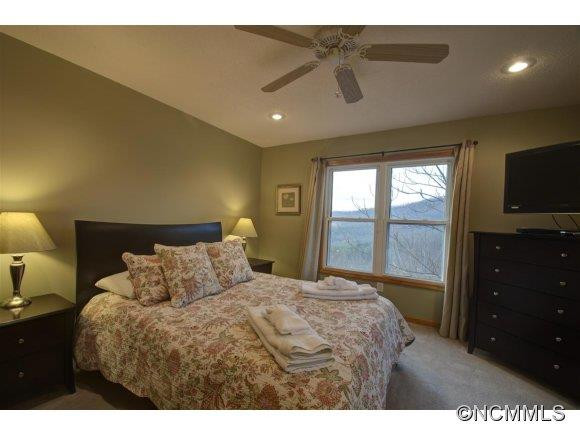 29 Clubb Mountain - Photo 9