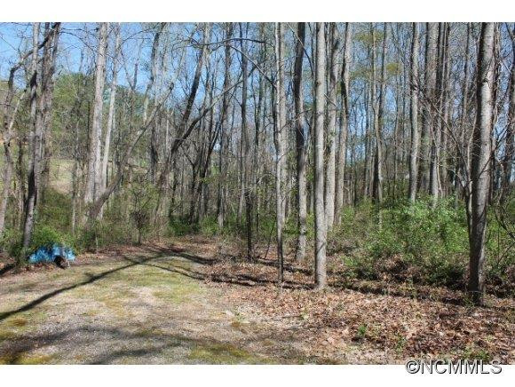58 Pete Luther Rd. - Photo 7
