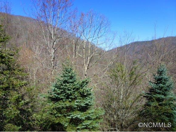 186 HIDDEN COVE ROAD - Photo 4