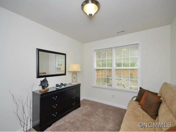 286 NEW RIVER DRIVE - Photo 14
