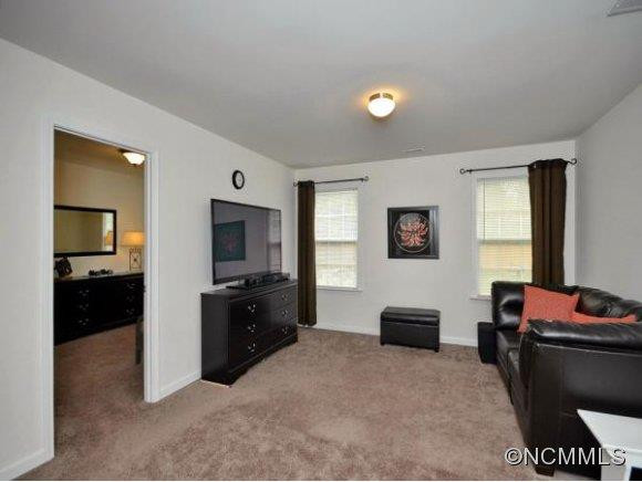 286 NEW RIVER DRIVE - Photo 16