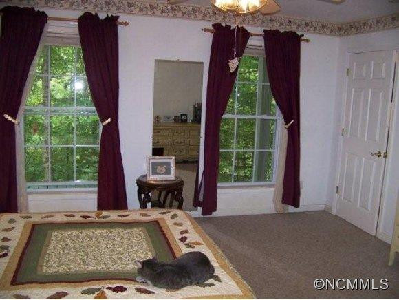 2868 Cane Creek Rd - Photo 12