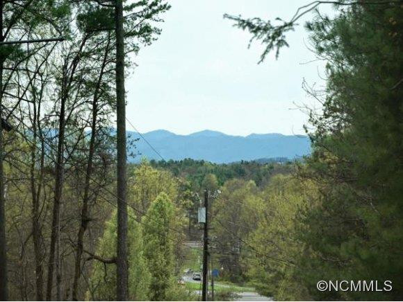 22 LEISURE MOUNTAIN ROAD - Photo 2