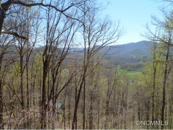 609 Black Mountain Rd - Photo 11