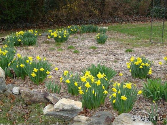 1609 Kanuga Road - Photo 23