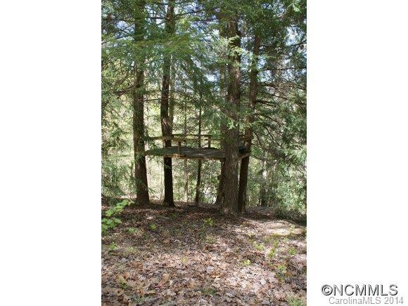 1531 Green River Cove Road - Photo 12