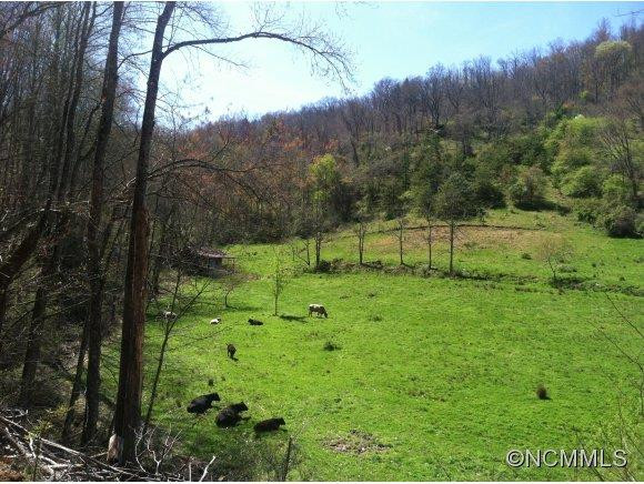 9 Fresh Water Road - Photo 2