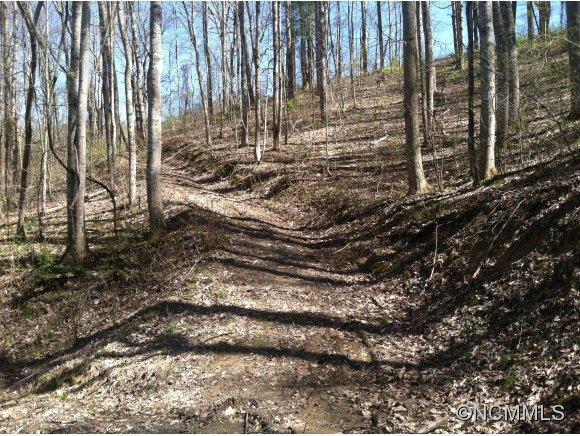 9 Fresh Water Road - Photo 14