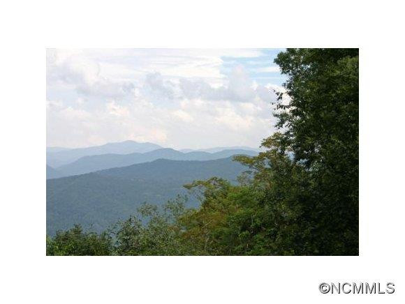 60 Tanasi Trail - Photo 17