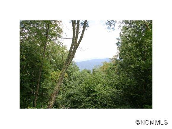 60 Tanasi Trail - Photo 18