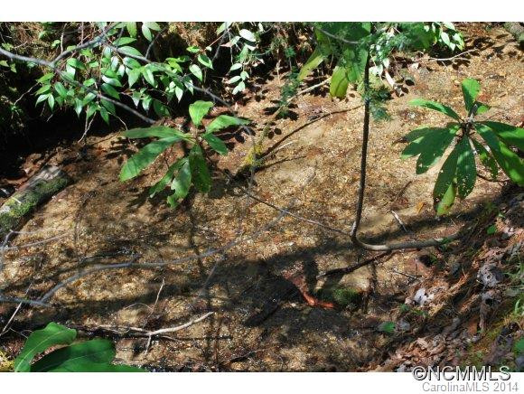 124 Vinegar Valley Road - Photo 9