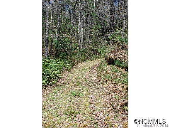 124 Vinegar Valley Road - Photo 10