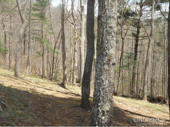 196 White Oak Gap Rd - Photo 5