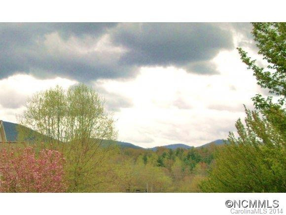 11 FLOWERING CHERRY - Photo 24