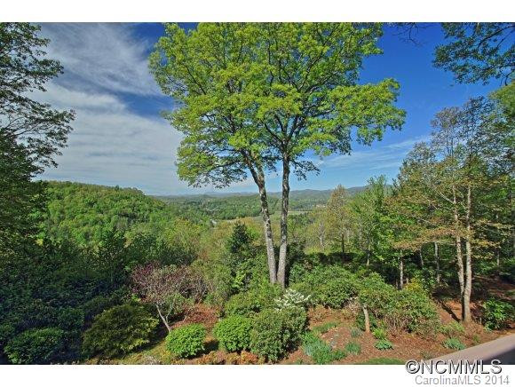 524 Three Mile Knob - Photo 4