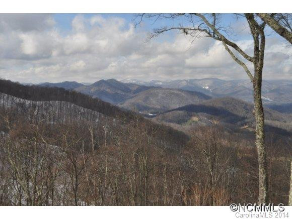 795 Andrew Banks Road - Photo 3