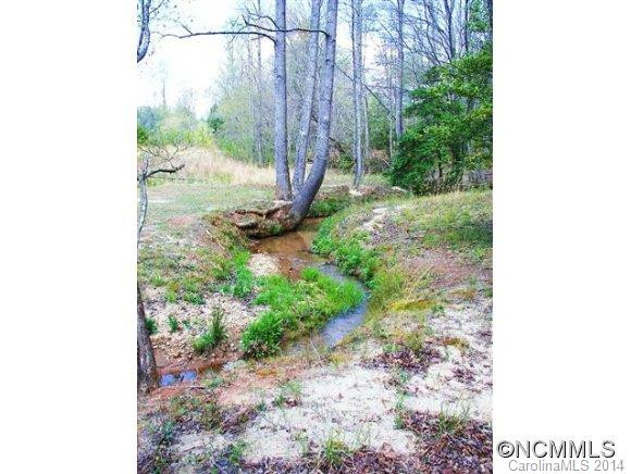 0 Turning Leaf Lane - Photo 14